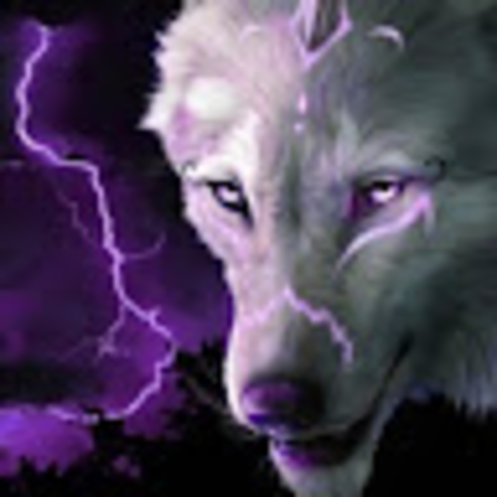 Meet your Posher, The red